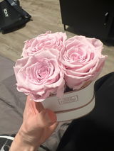 Infinity Rosen | Herz Rosé Box | XS