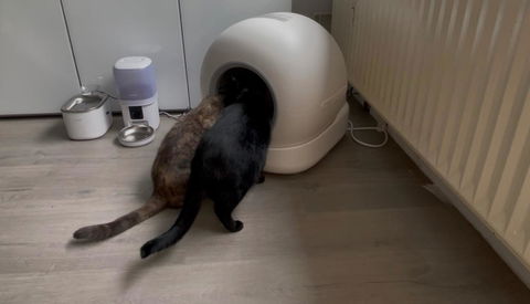 Hombli Smart Cat Litter Box with Camera