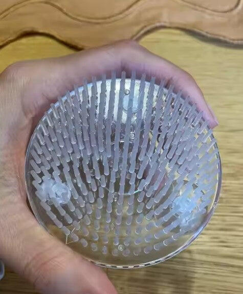 StemNest