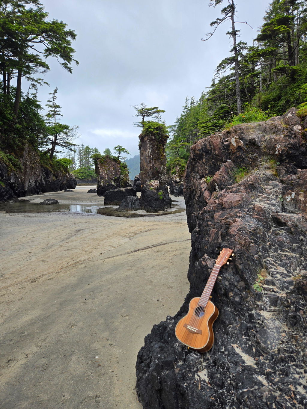 Kohala Deluxe Solid Top Limited Edition Guitalele