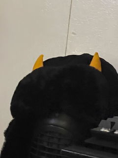 Review picture