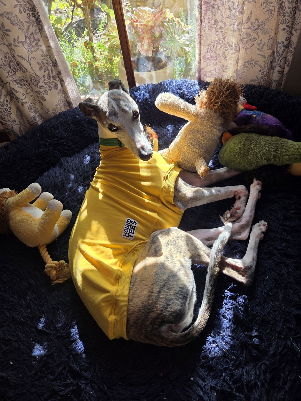 houndtees