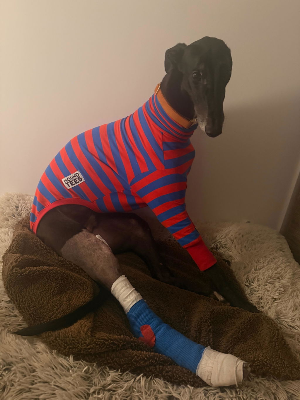 The Fairground Greyhound Long Sleeve Tweater