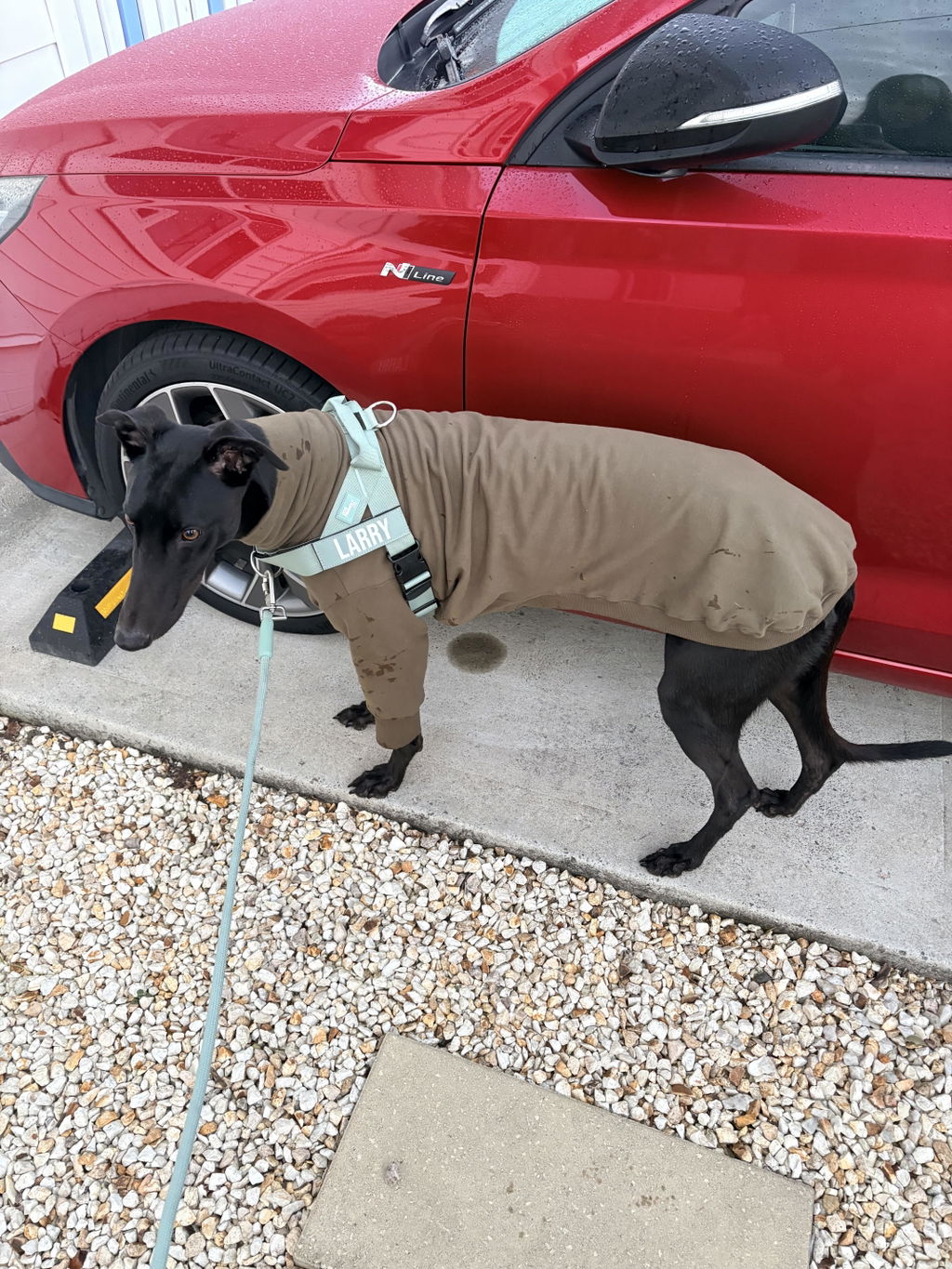The Greyt Outdoors Greyhound Sweater