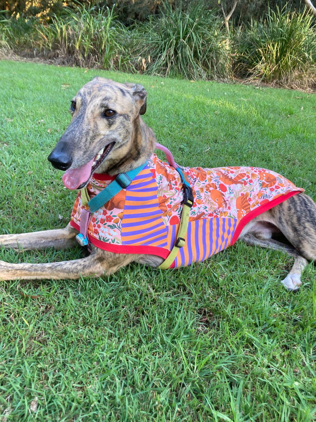 Red Pandas Greyhound Sleeveless Hound-Tee