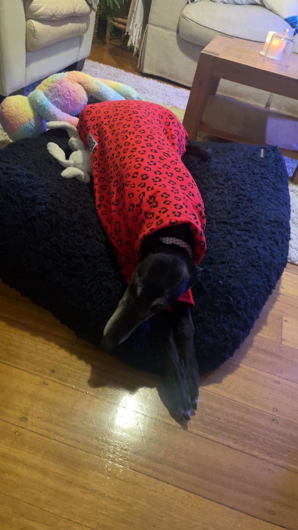 Strawberry Snarl Greyhound Sweater