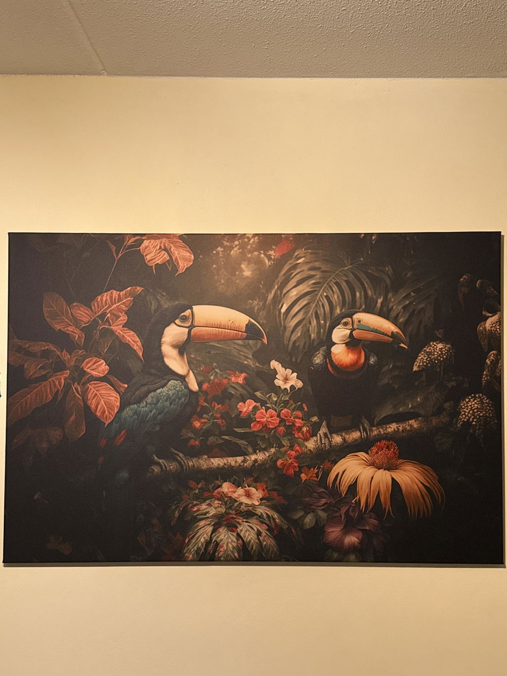 Toekans 2 · Canvas