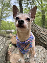 Pixel Pop Plaid Bandana
