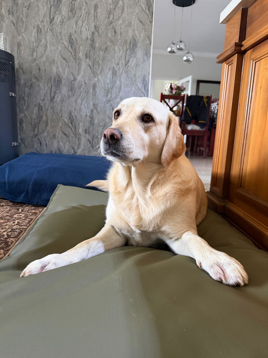 Original Pillow Dog Bed