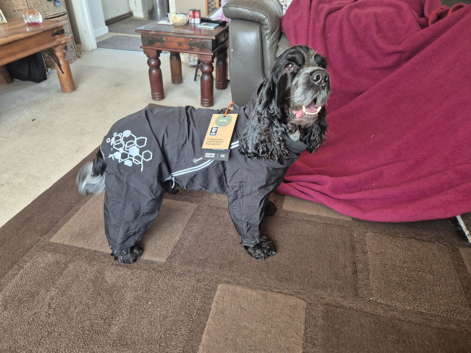 Hurtta MudVenture Overall ECO 65M フルッタ Mudventure Overall ECO rainsuit for dogs - Hurtta.com
