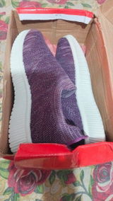 Plum Zebra Female Sketcher - SK-36 / SK-41