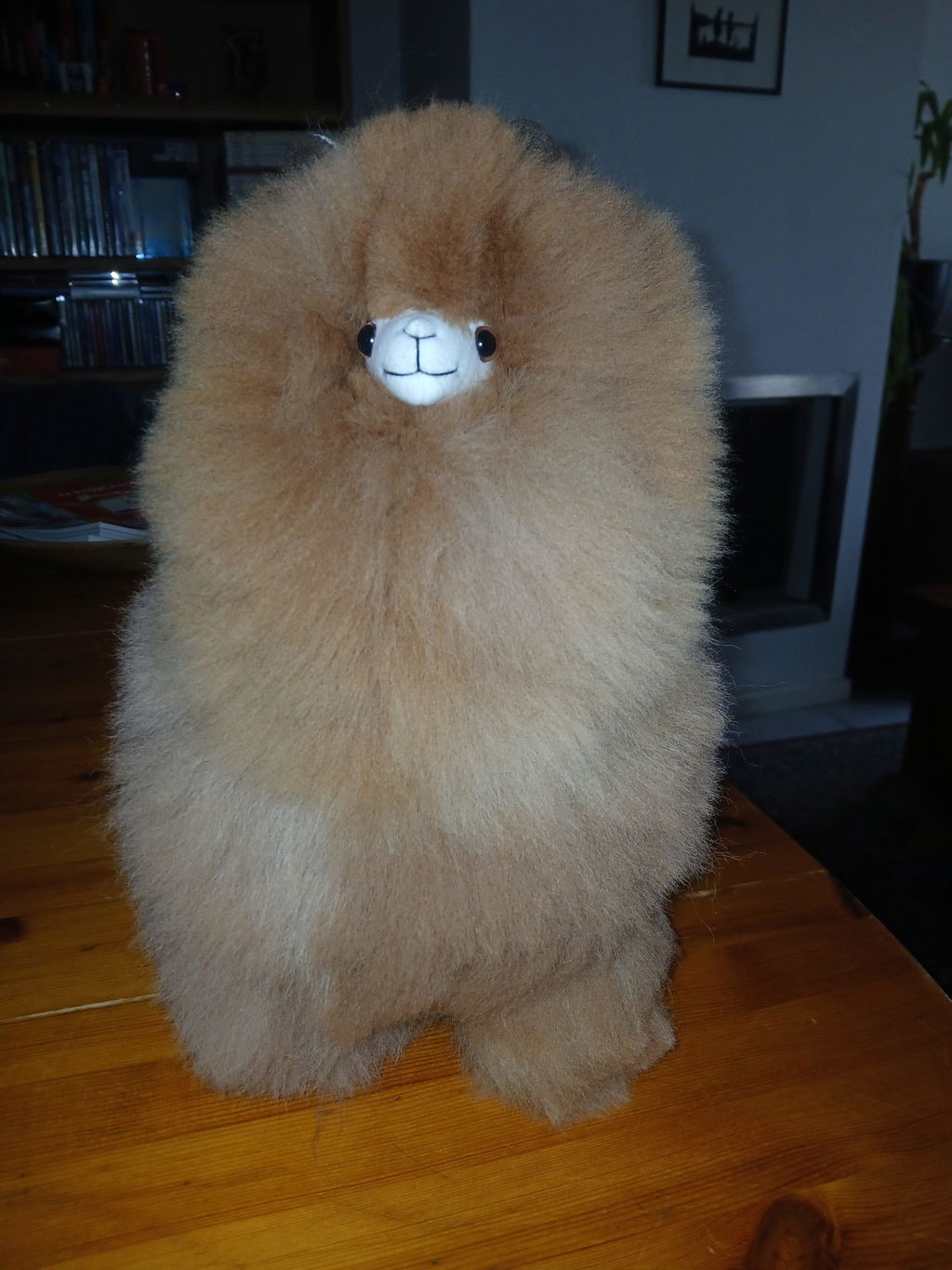 Inkari - Number 1 In Alpaca