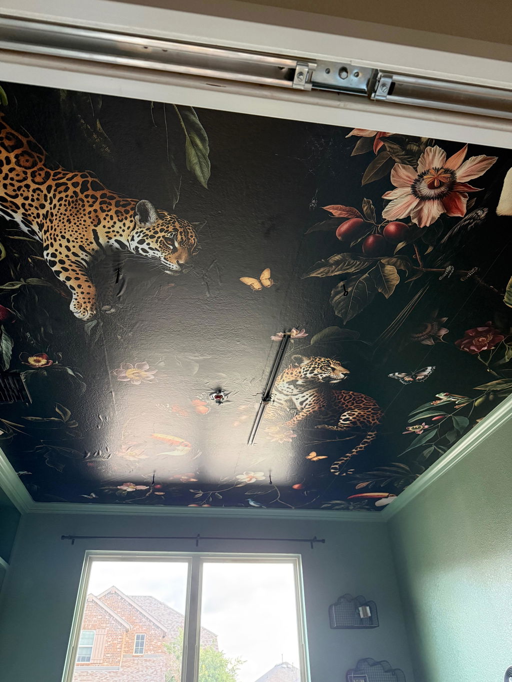 Jaguar & Toucan | Black Mural