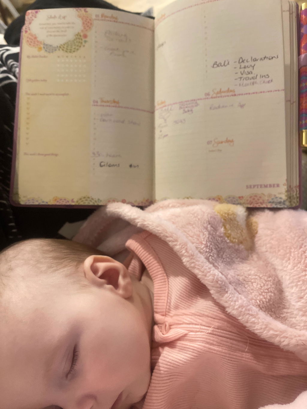 2025 Diary Planner | The Year for New Beginnings - Moonlit Mauve Purple