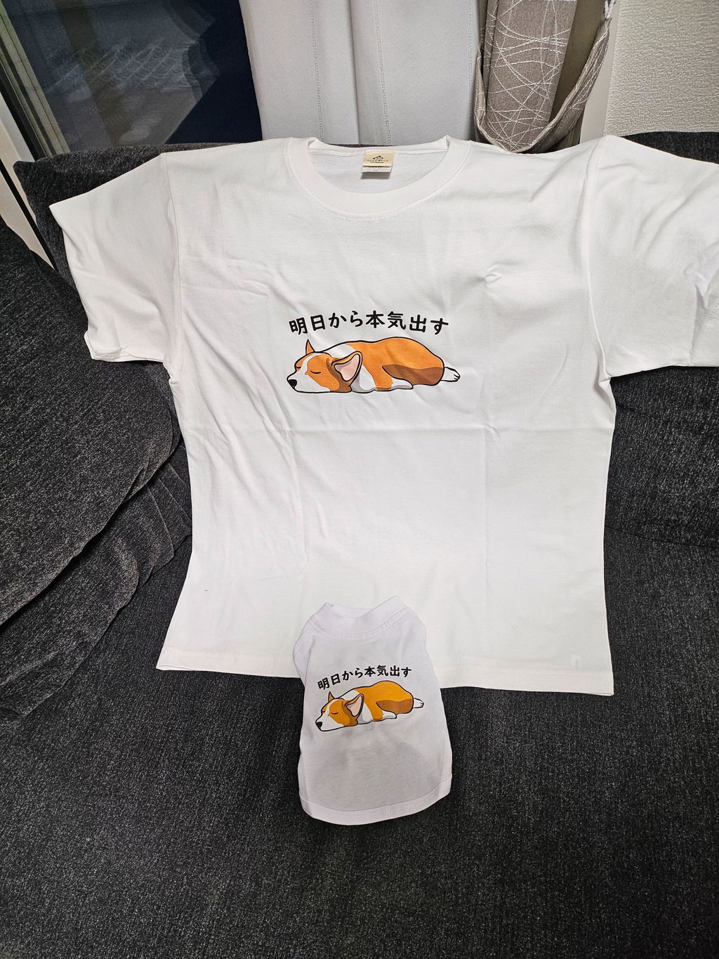 犬 tシャツ 犬イラスト コーギー犬 明日から本気出す｜アダルト&キッズサイズ