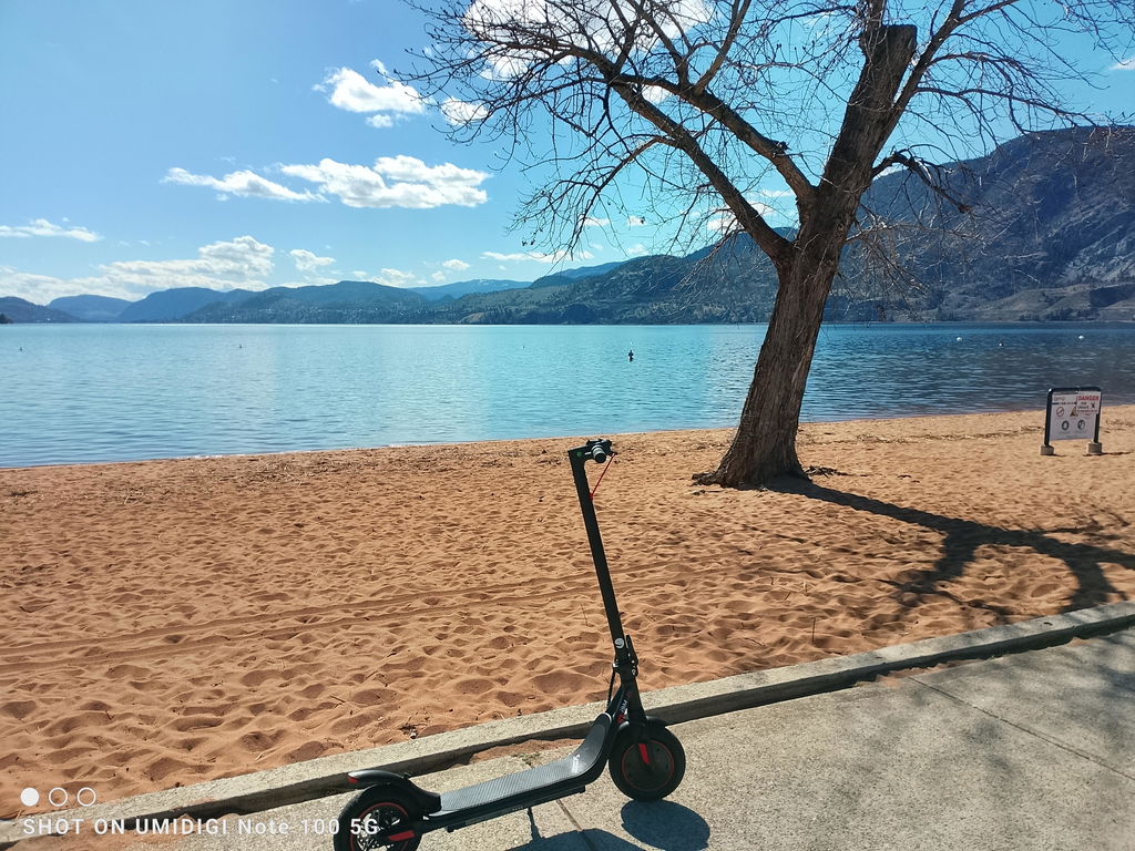 iScooter i9M Foldable Commuting Electric Scooter