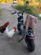 User picture