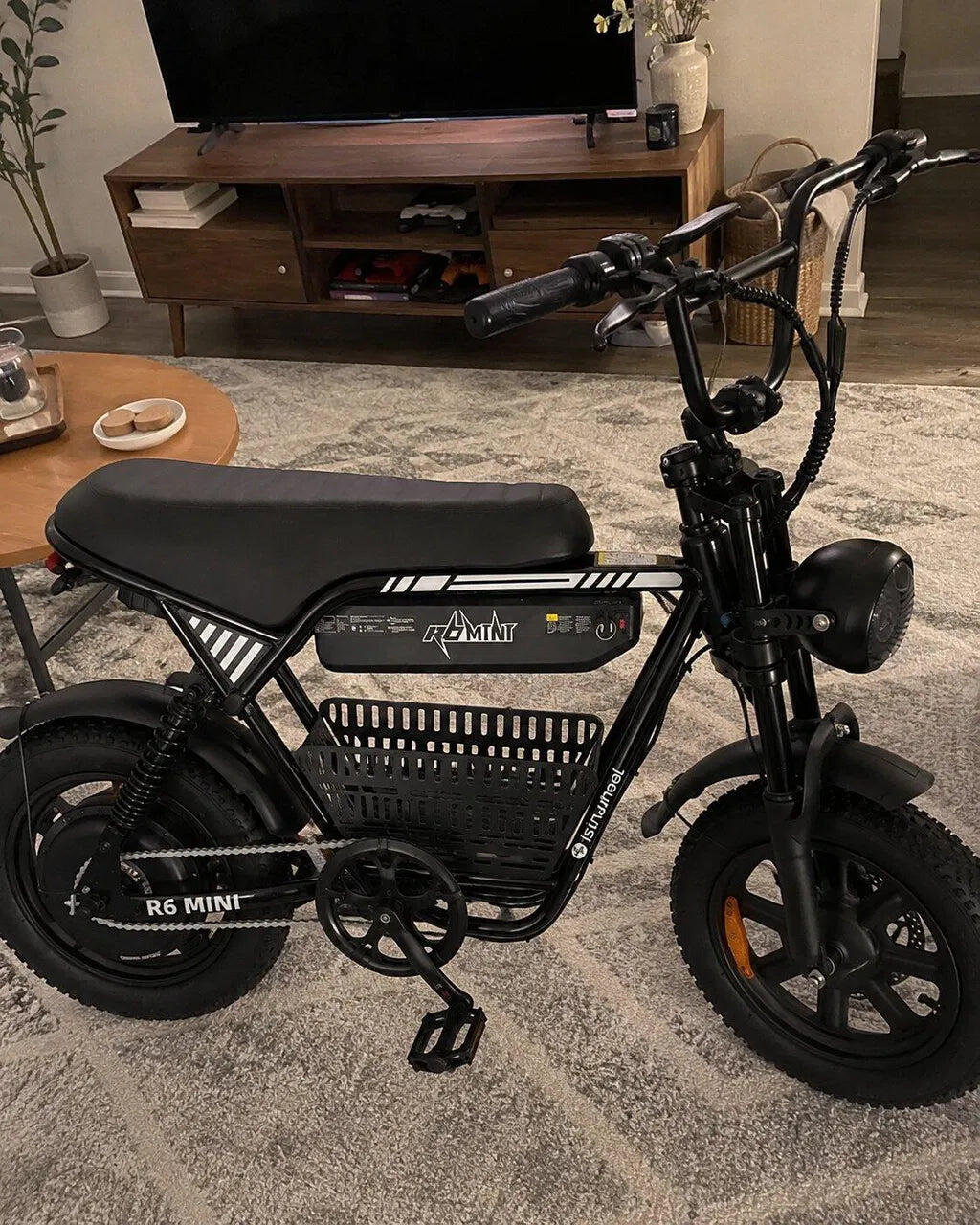 isinwheel R6 Mini Ebike