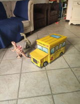 User picture