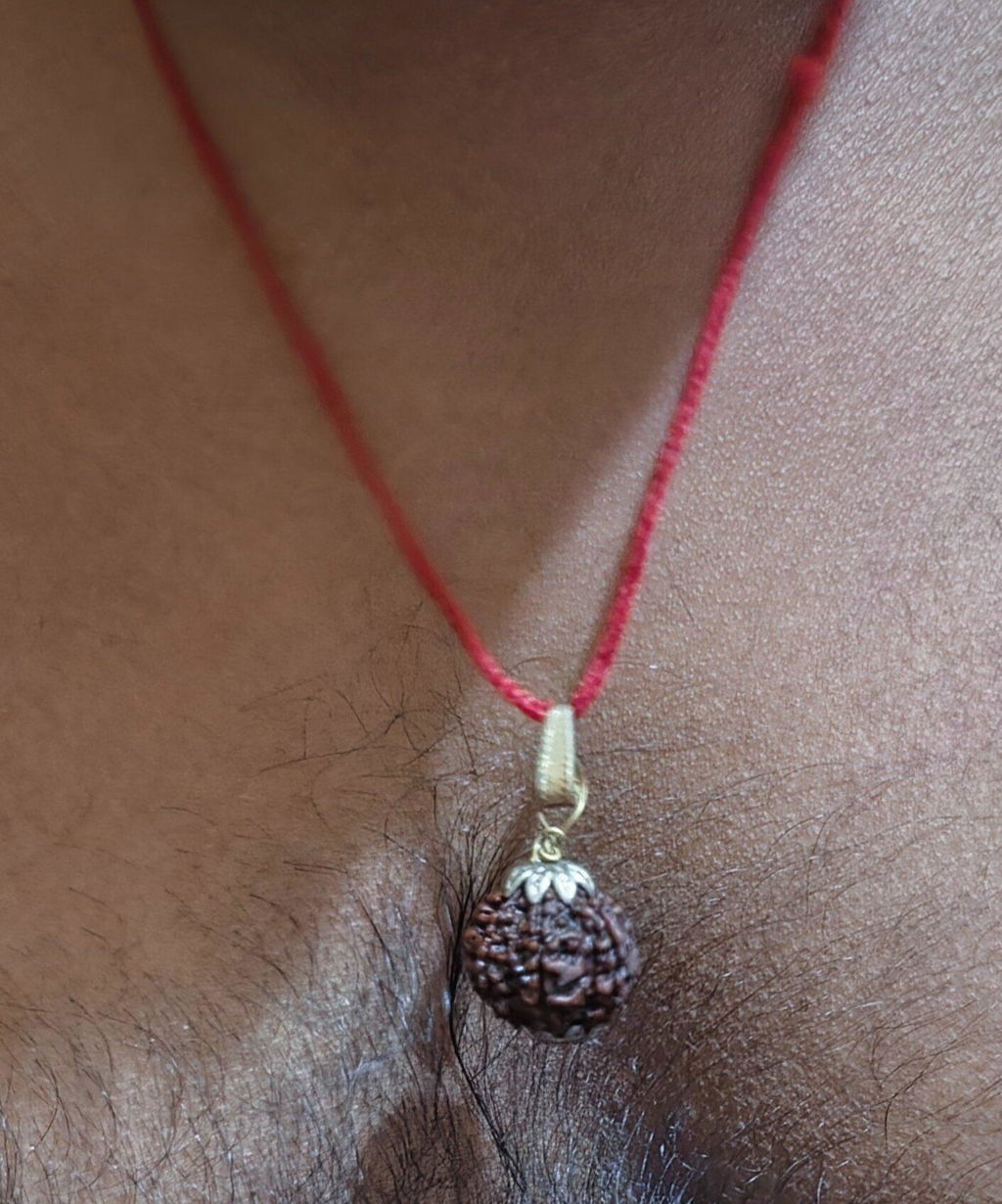 7 Mukhi Nepali Rudraksha - Saat Mukhi