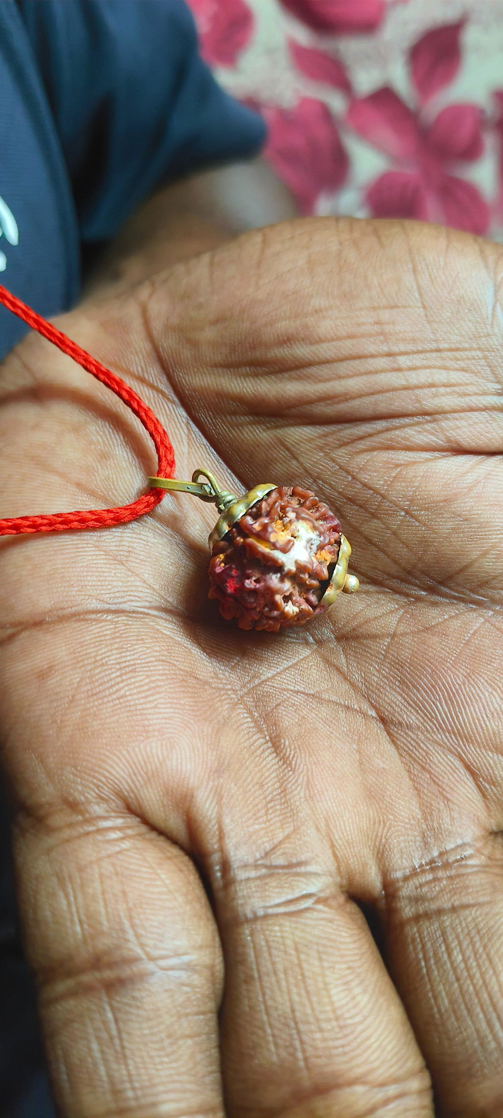 9 Mukhi Nepali Rudraksha - Nau Mukhi