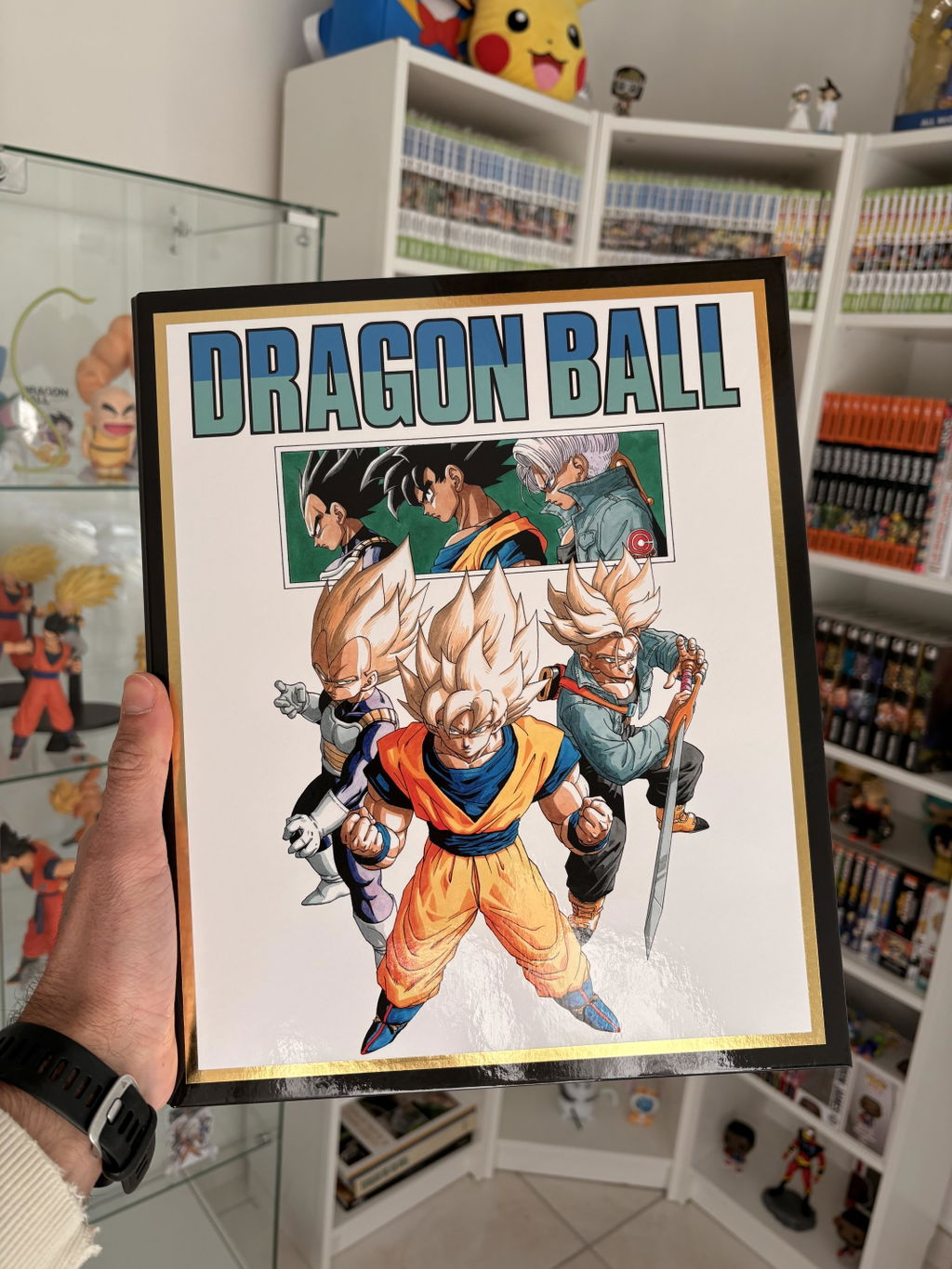 Cards 315 x 260 x 43 mm – Dragon Ball | Japandco