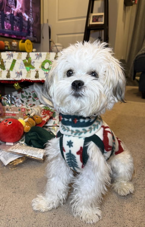 Holiday Fair Isle Red Reindeer Fleece Dog Sweater