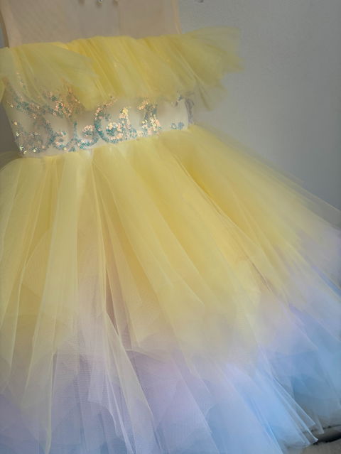 Rainbow Off-Shoulder Ruffled Tiered Tulle Flower Girl Dress D037