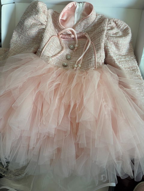 Pink Girl Dress Long Sleeve Knee Length Princess Birthday Gown D209