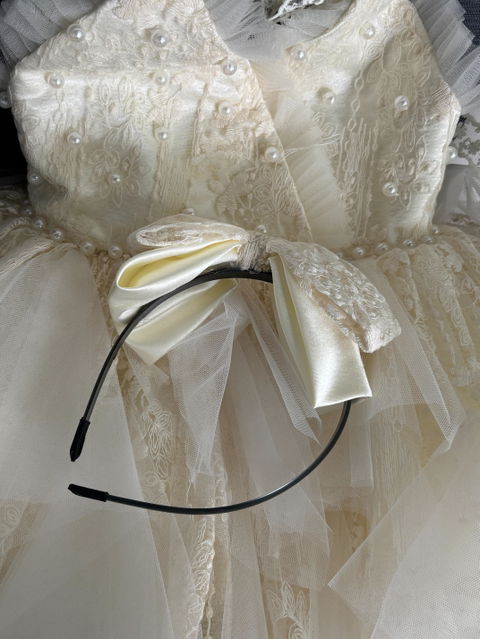 Champagne Flower Girl Dress for Girls Floral Embroidery Tulle Ball Gown for Wedding J912