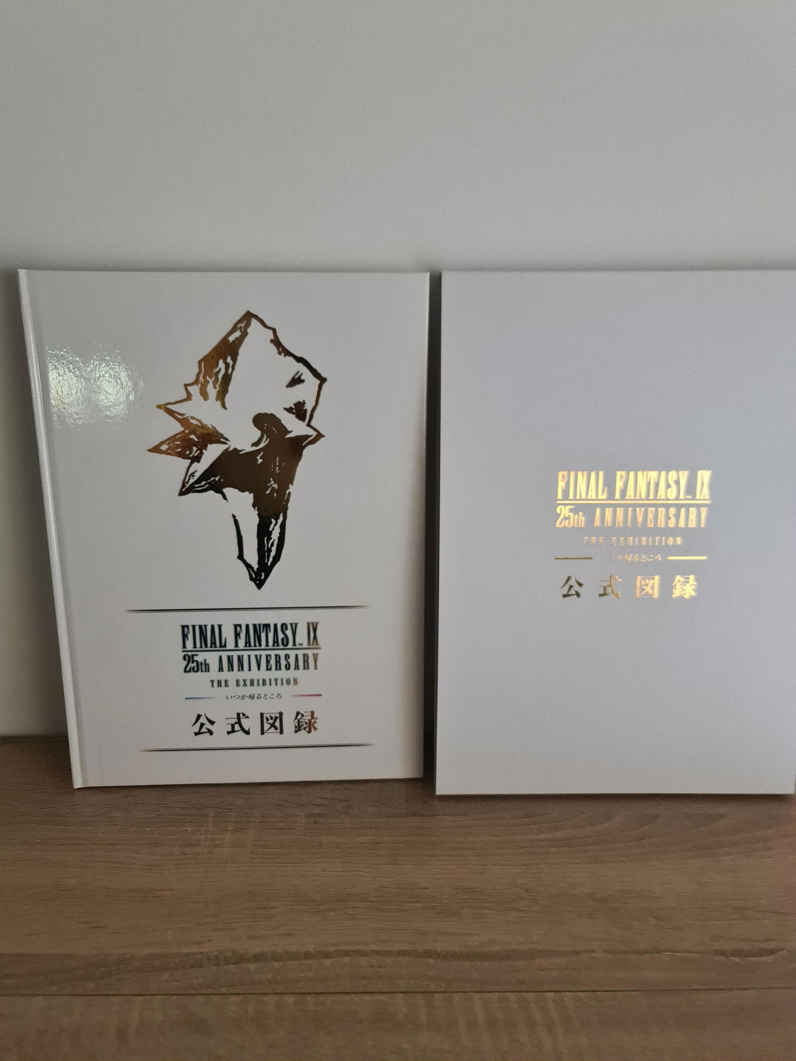 Final Fantasy IX 25th Anniversary The Exhibition - Official