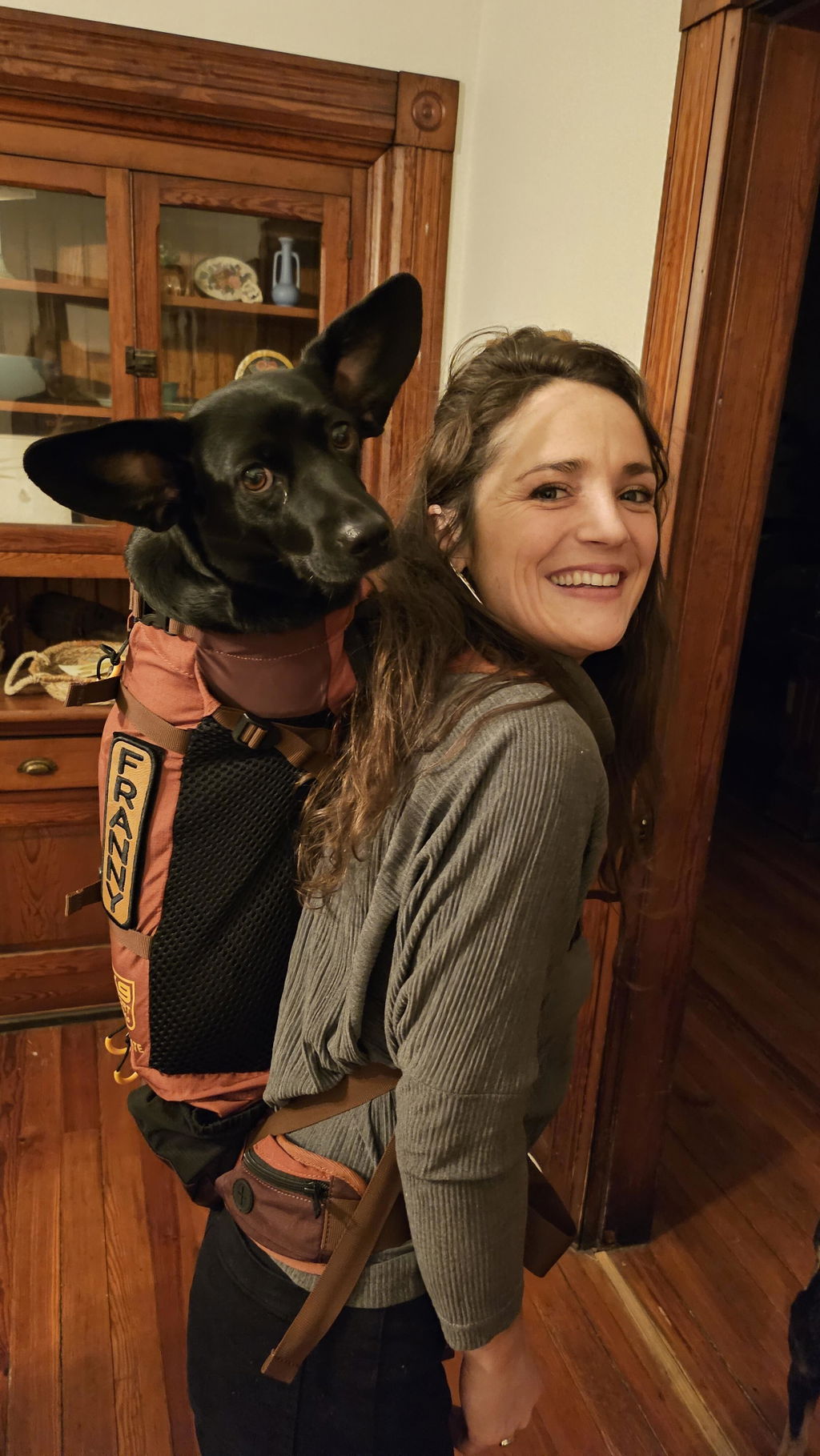 Knavigate | Advanced Dog Carrier with Internal Frame & Hip Belt