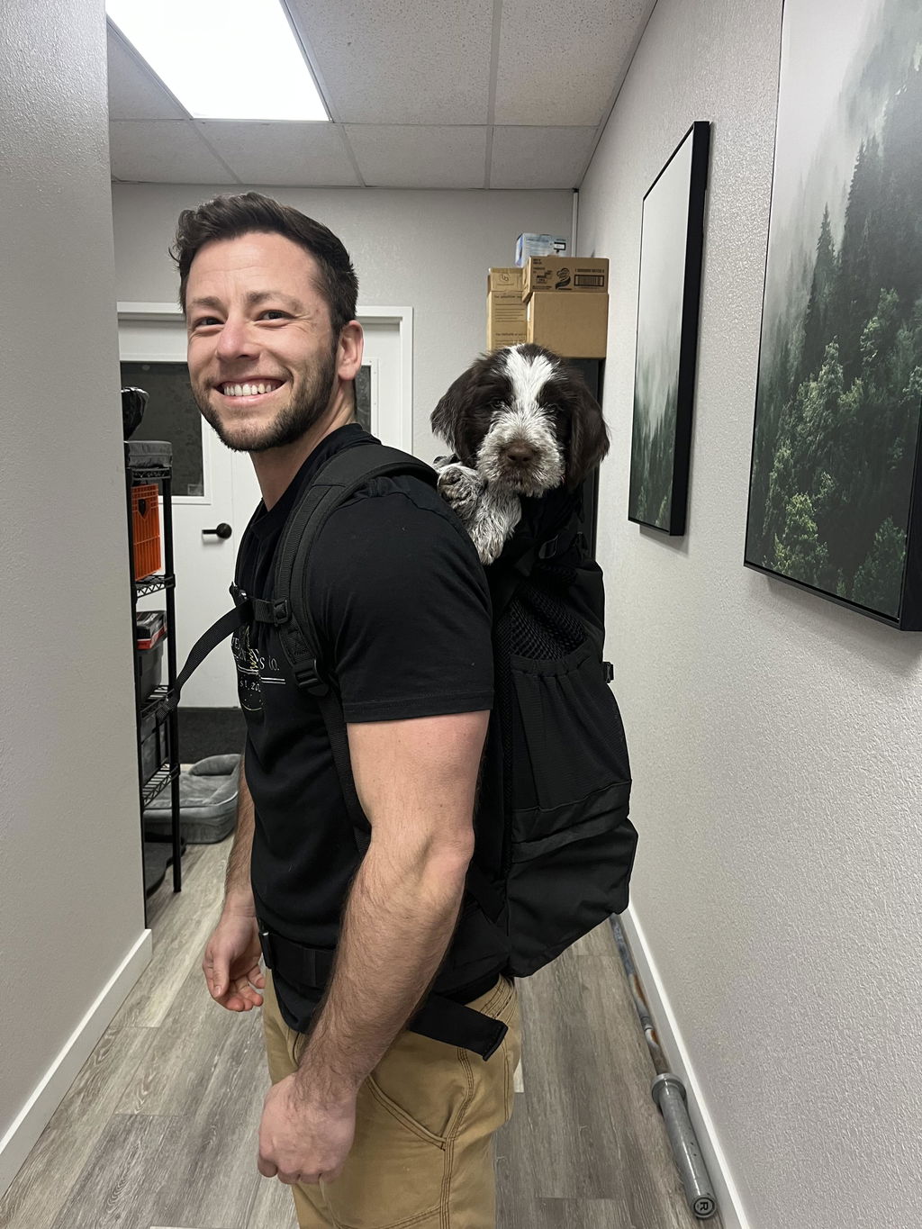 Knavigate | Advanced Dog Carrier with Internal Frame & Hip Belt
