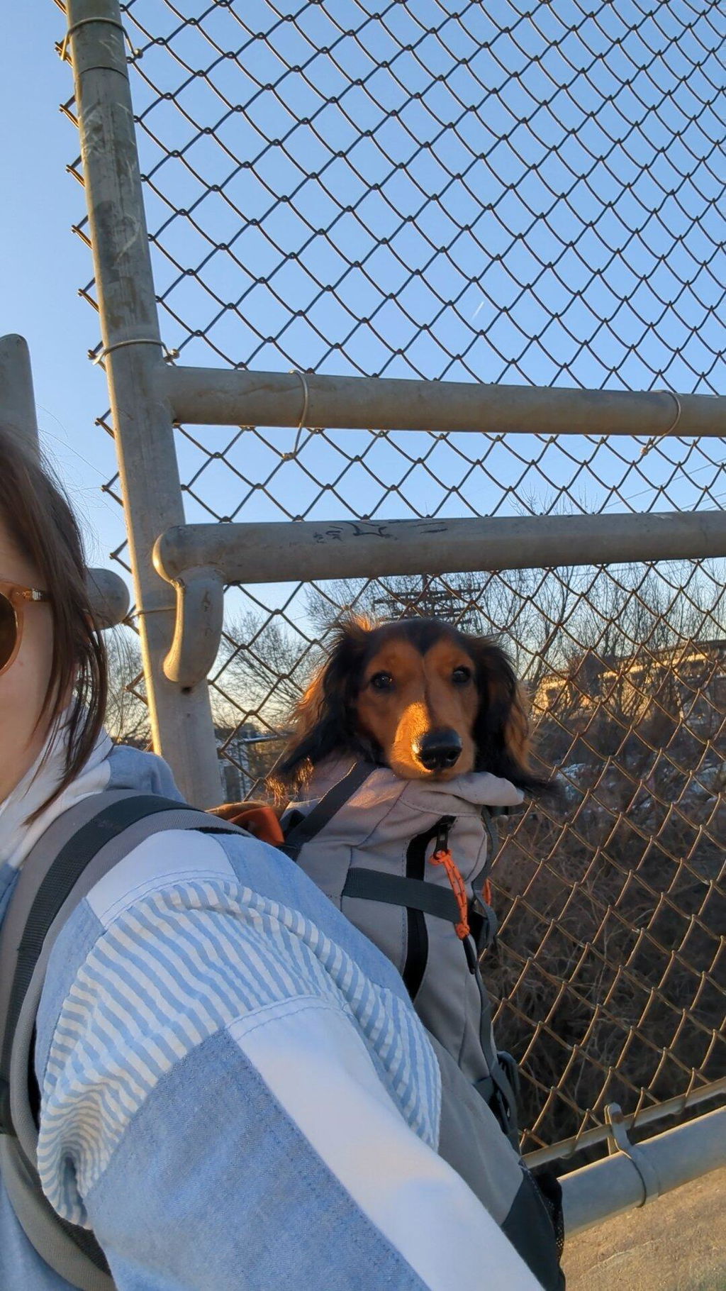 Urban 3 | Dual Use Dog Carrier & Traditional Backpack