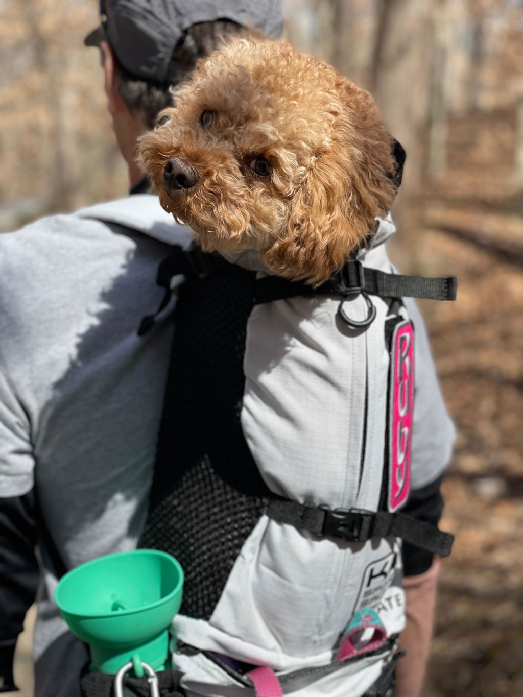 Knavigate | Advanced Dog Carrier with Internal Frame & Hip Belt