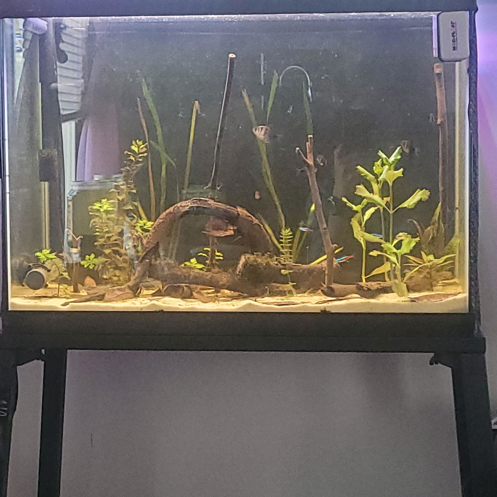 Kactoily Smart 7-in-1 Aquarium WiFi Monitor
