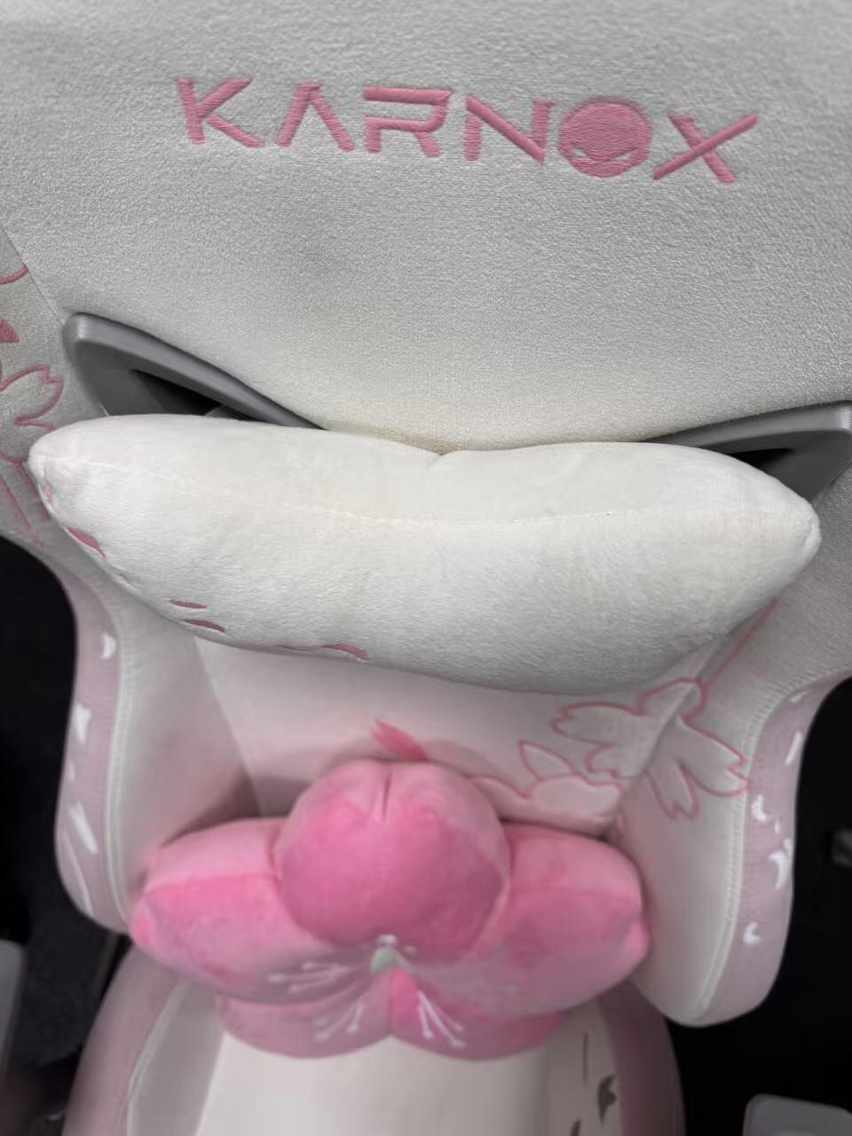 SAKURA EDITION - PINK