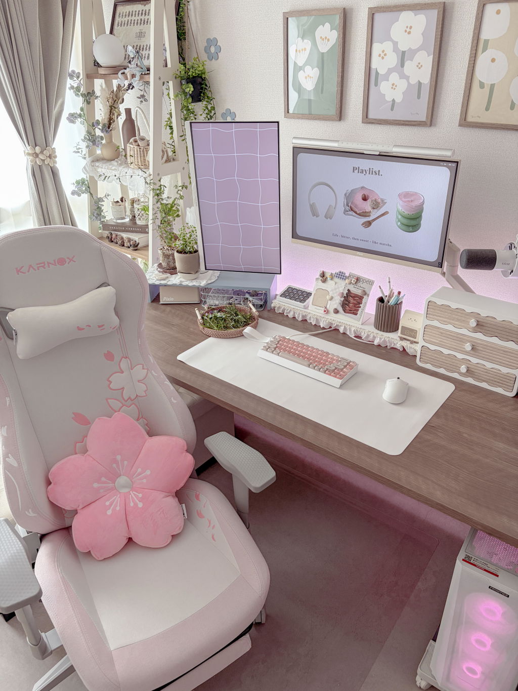 SAKURA EDITION - PINK