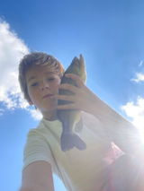 User picture