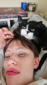 User picture