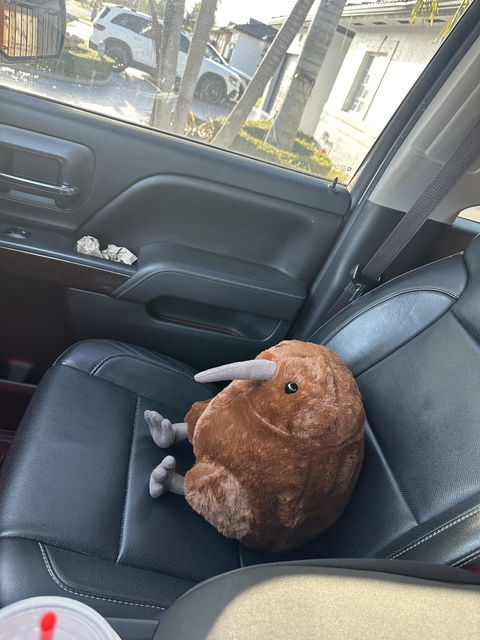 Sticks the Chunky Kiwi Bird Plushie
