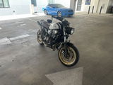 User picture