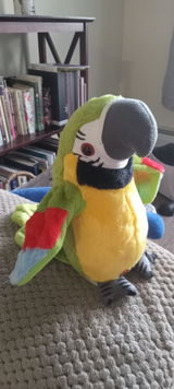 User picture