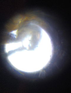 Review picture