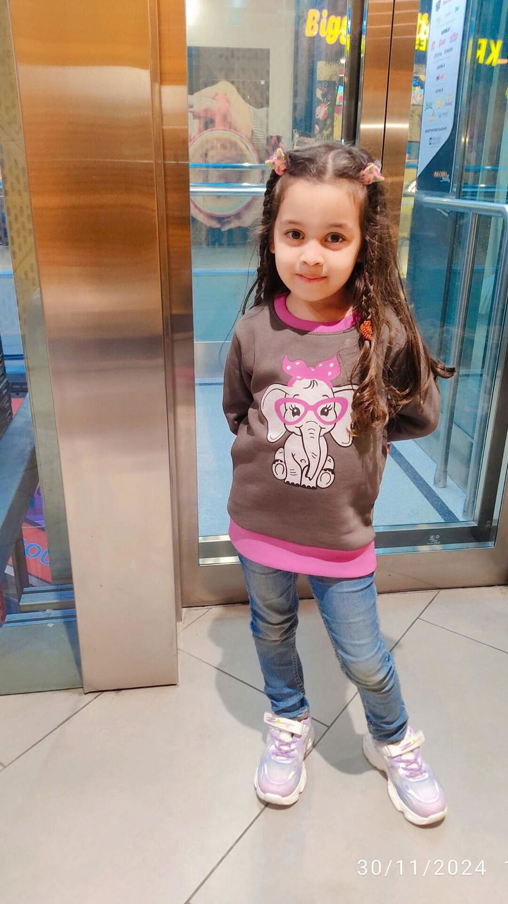 Elephant Printed Sweatshirt