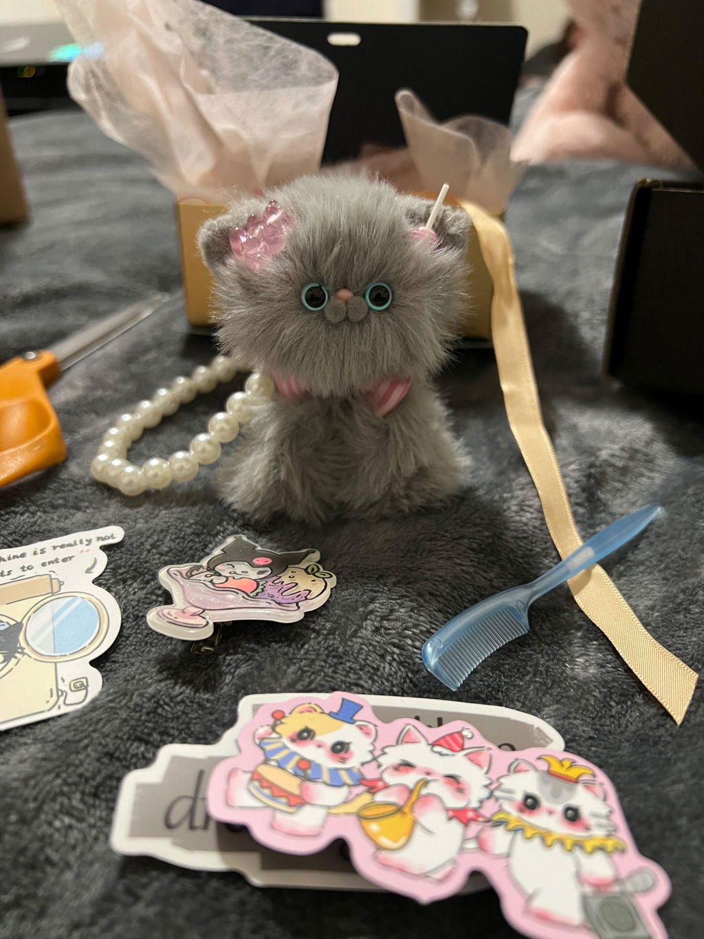 Grey Kitten Collection