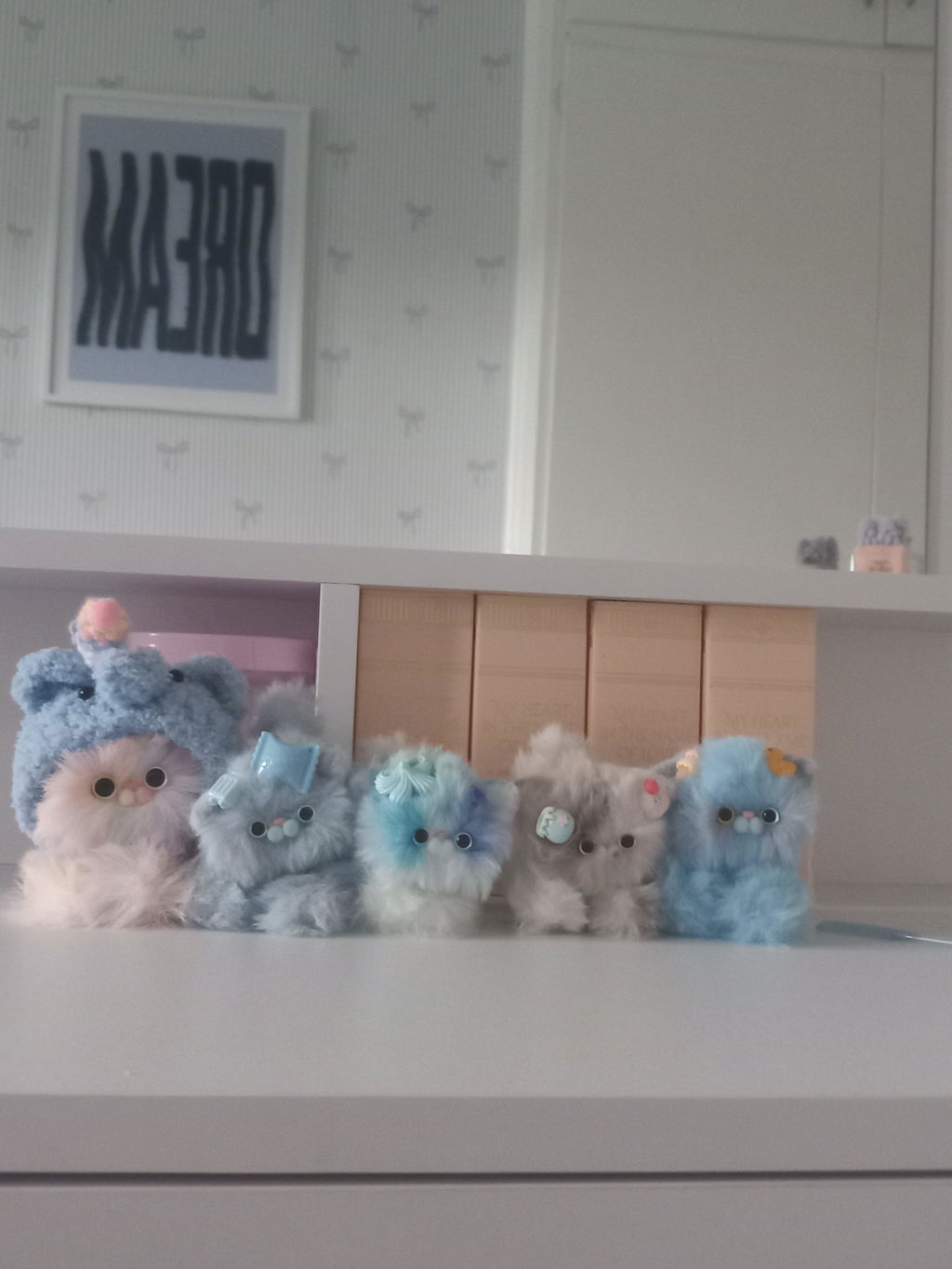 Fruity Kitten Collection