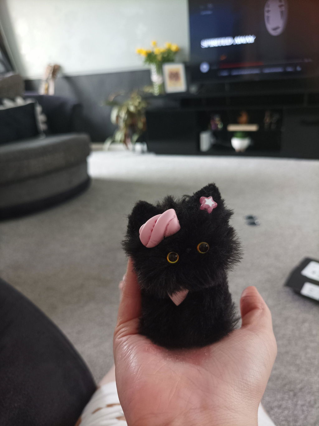 Black Kitten Collection