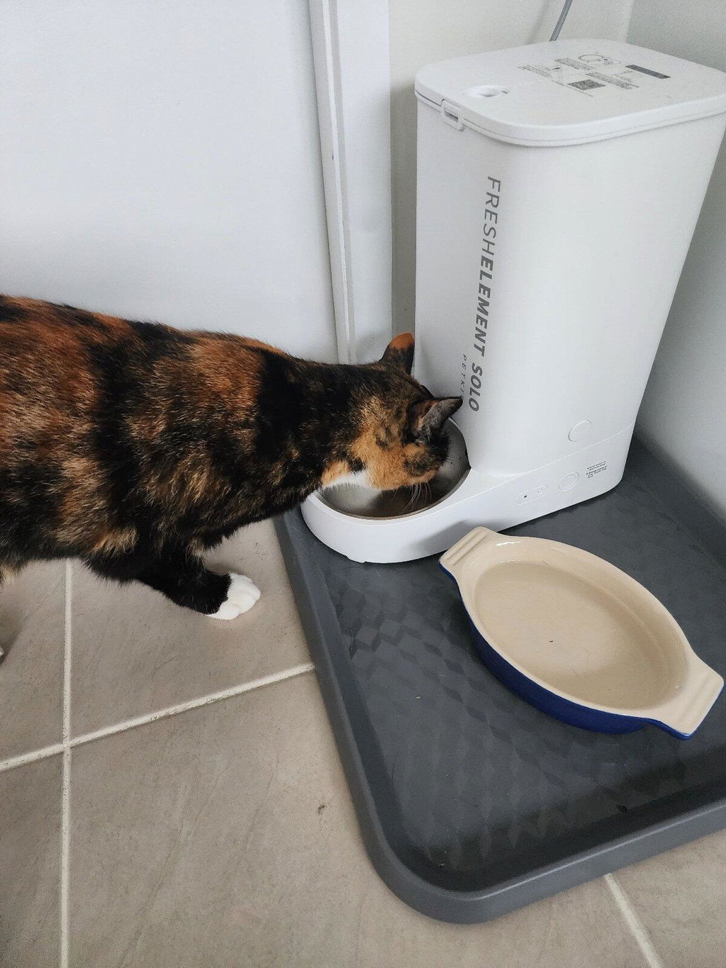 Smart Hooman Trial Bundle - Cat Food (200g)