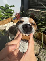Vitakun Chews Perros - Suplemento nutricional con Vitaminas y Condroprotectores